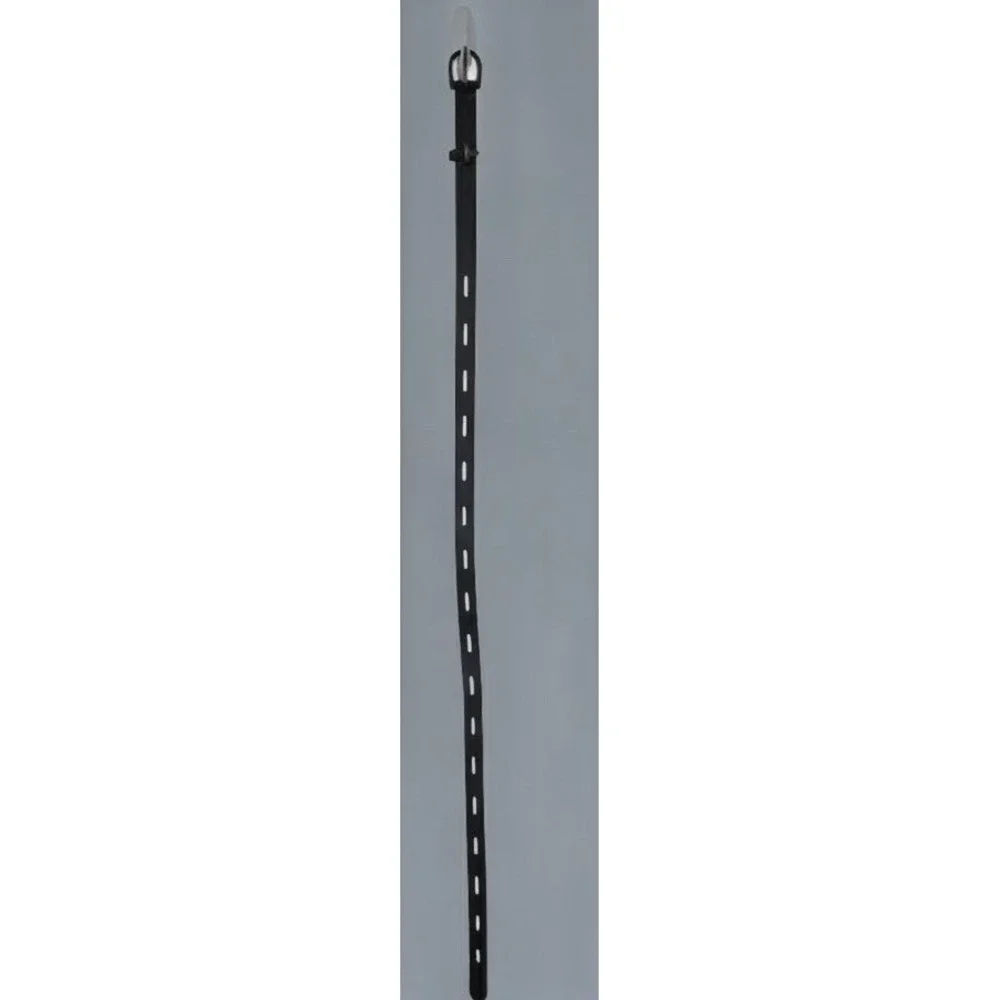 Black Leather Belt 44-46 Inch Antique Brass Buckle Western Statement Unisex